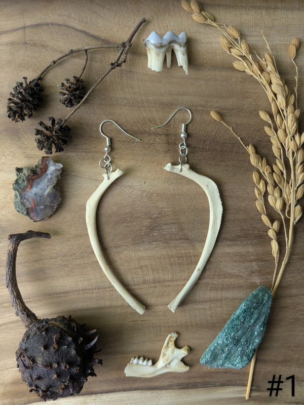 Bijou boucle d'oreille en os de ragondin