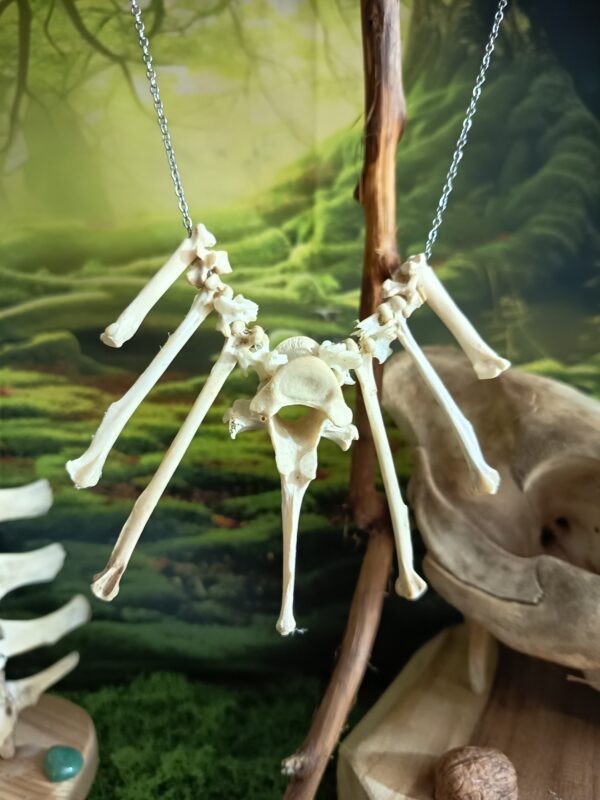 Collier en os de chien et vertèbres d'oiseau