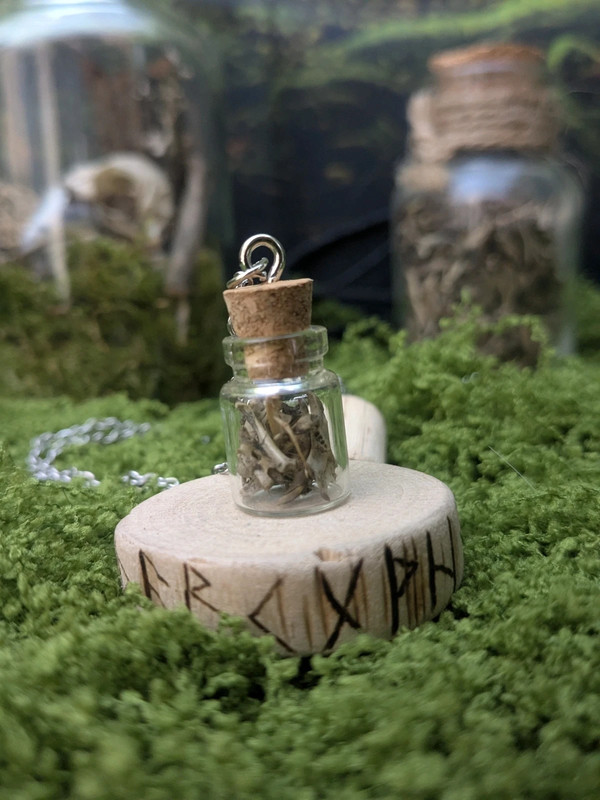 Collier avec fiole de 25mm remplis d'os de rongeurs