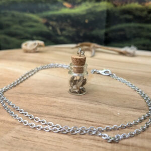 Collier avec fiole de 25mm remplis d'os de rongeurs