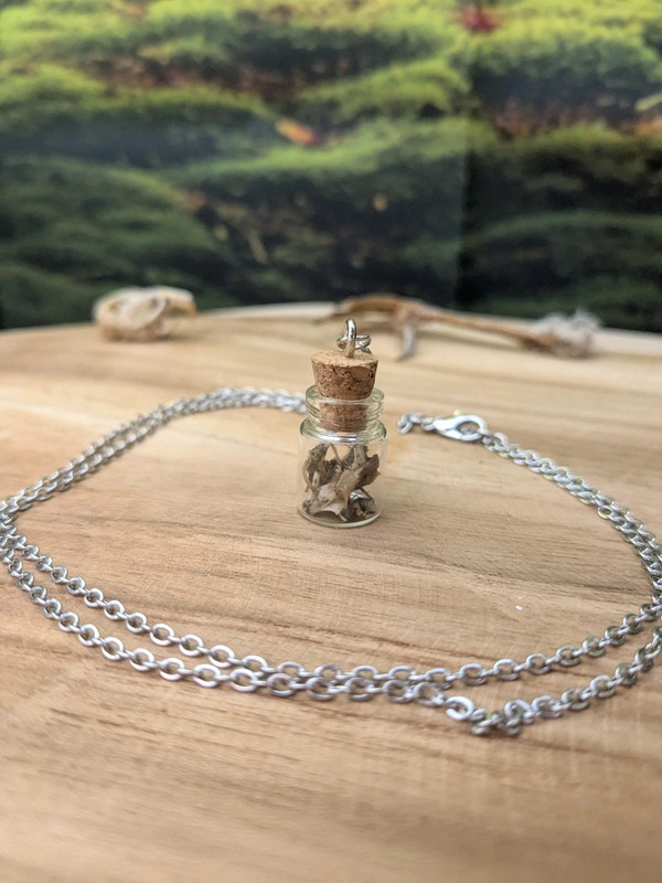 Collier avec fiole de 25mm remplis d'os de rongeurs