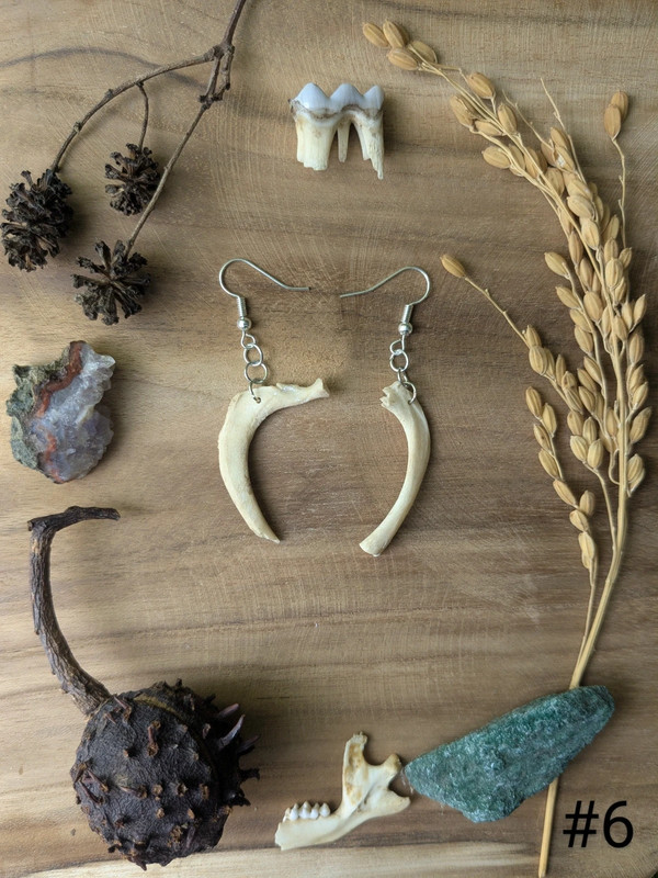 Bijou boucle d'oreille en os de ragondin