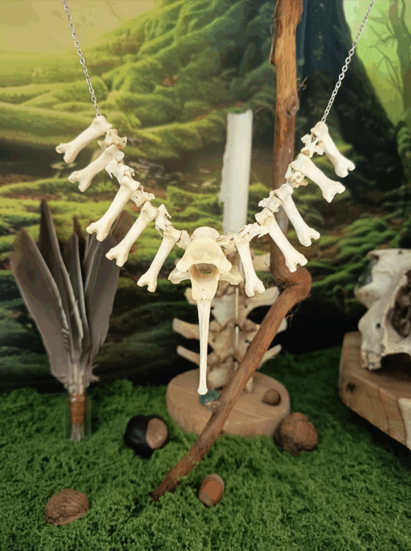 Collier en os de chien