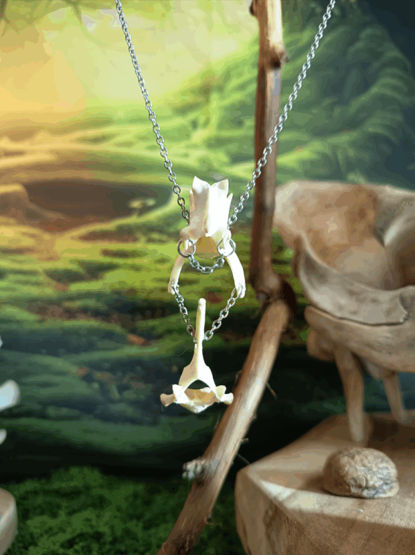 collier en os de chat