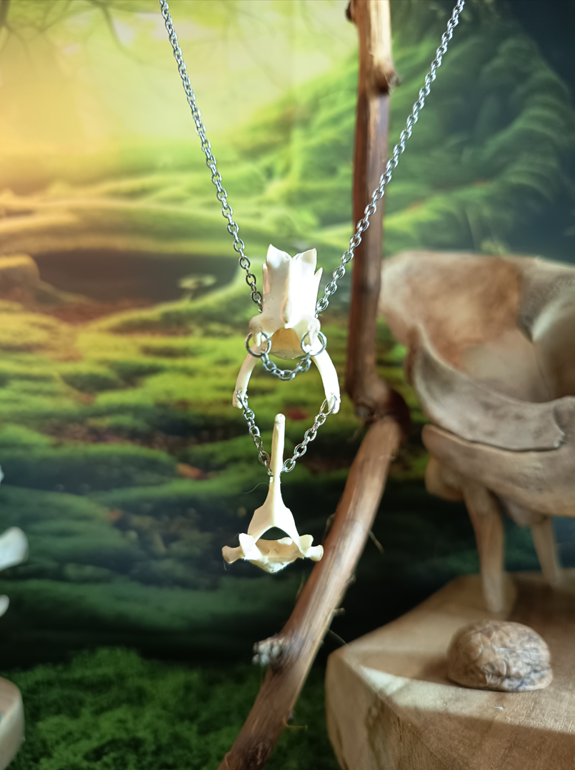 collier en os de chat