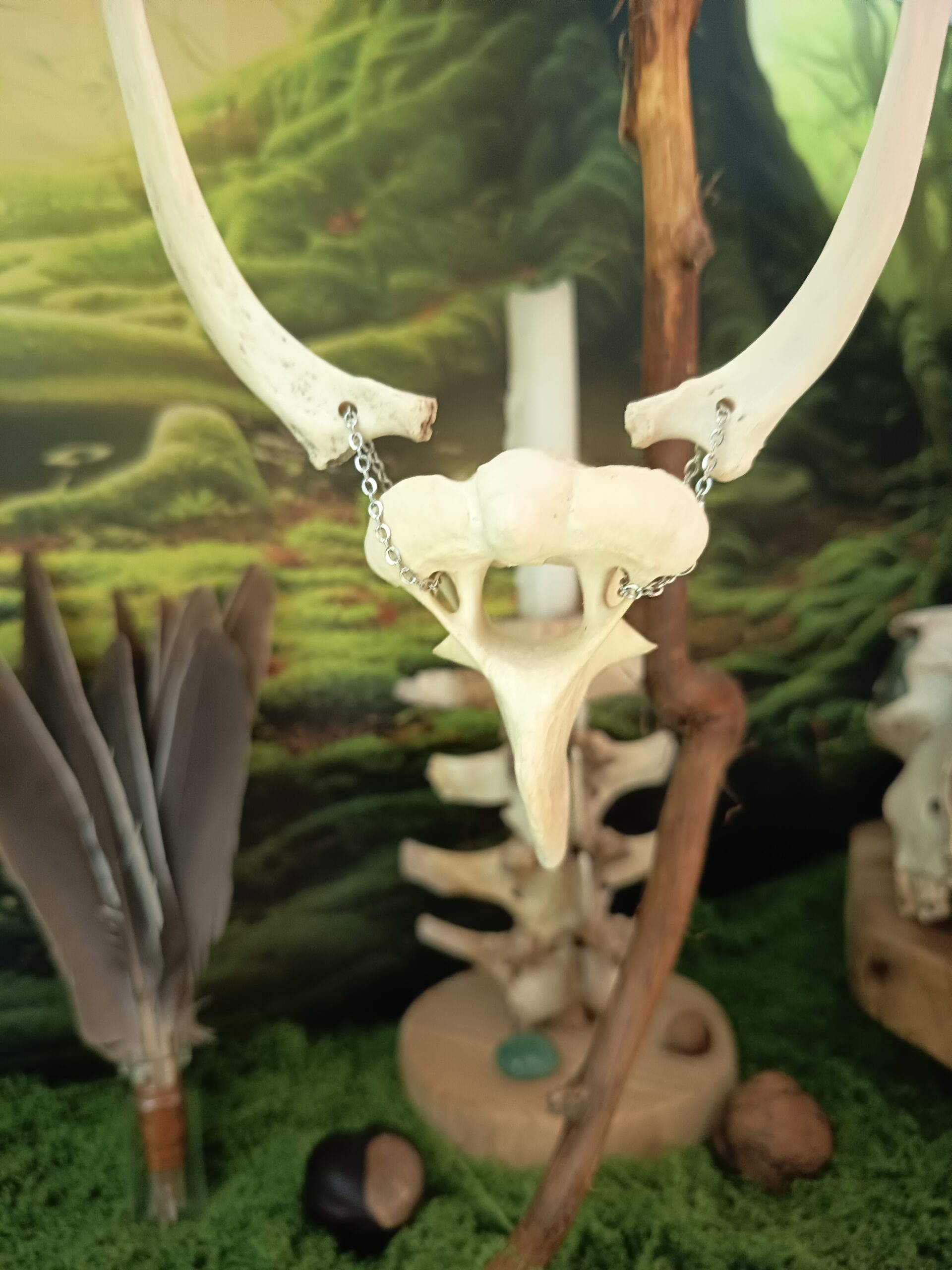 collier en os