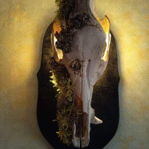 Lampe murale crâne de sanglier – Image 4