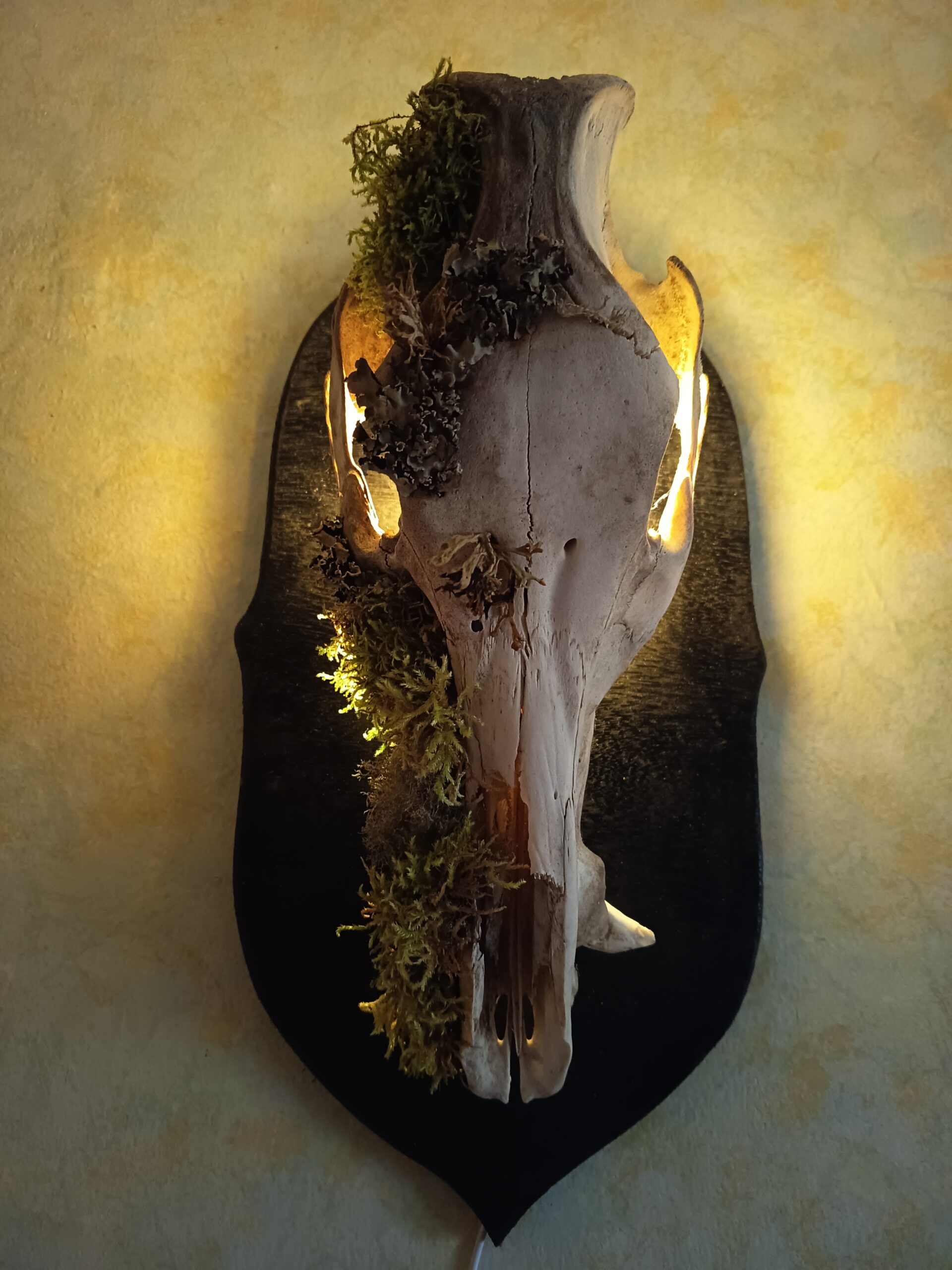 Lampe murale crâne de sanglier – Image 4