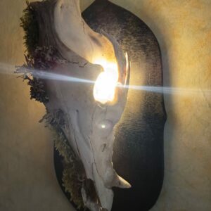 Lampe murale crâne de sanglier – Image 2