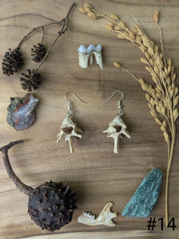 Boucles d'oreilles en os