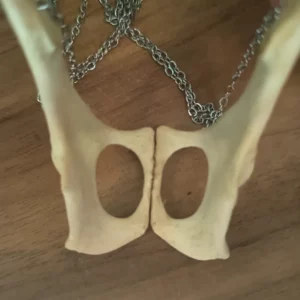 Les Amoureux – Image 3