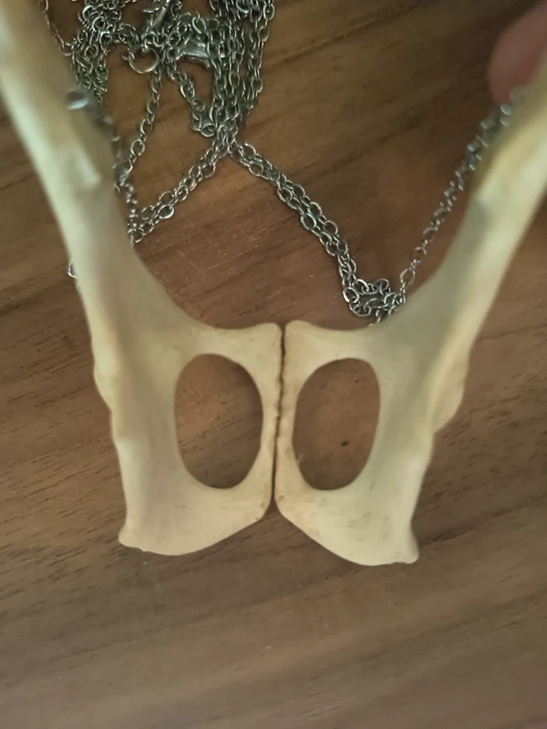 Les Amoureux – Image 3